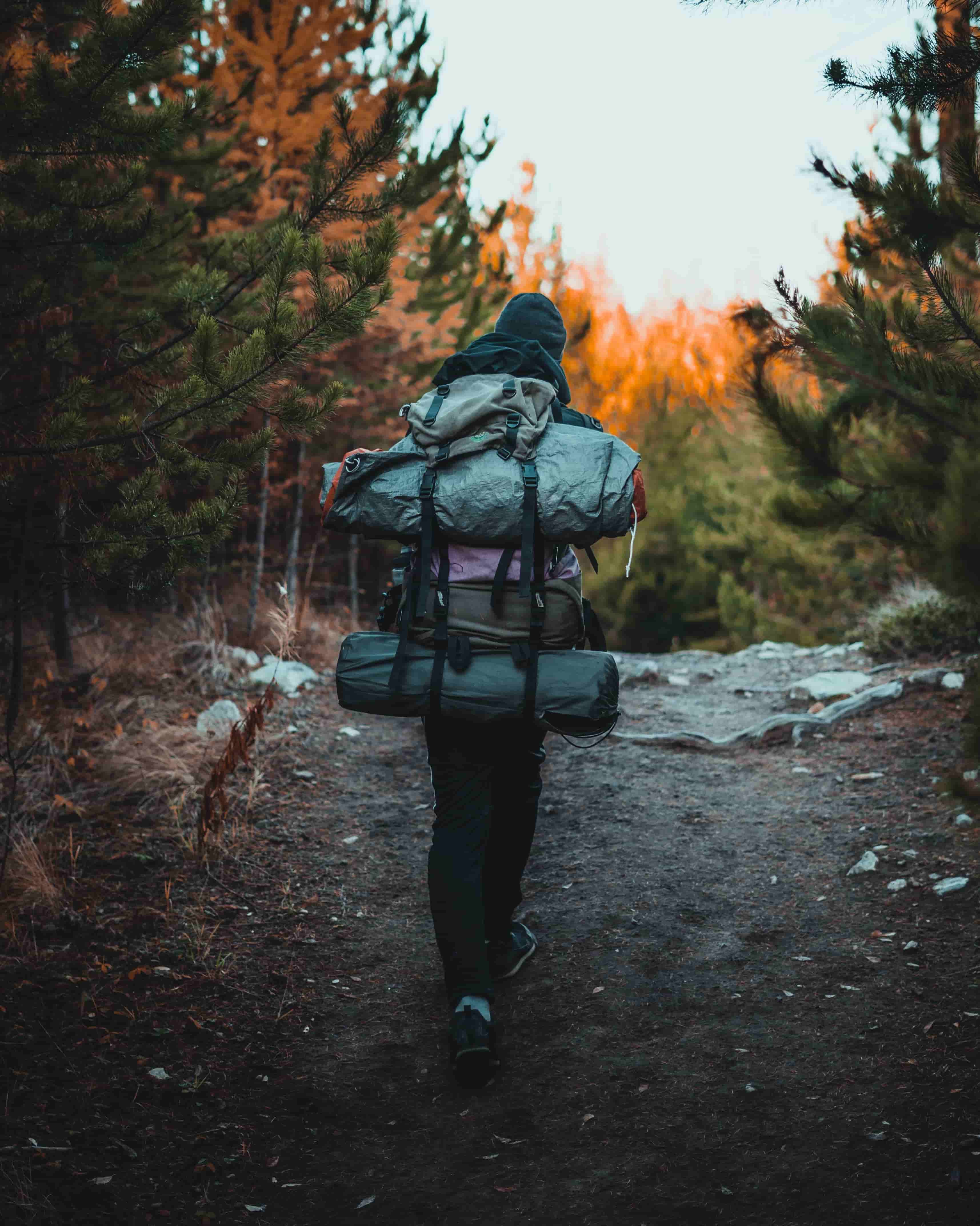 trailAudit